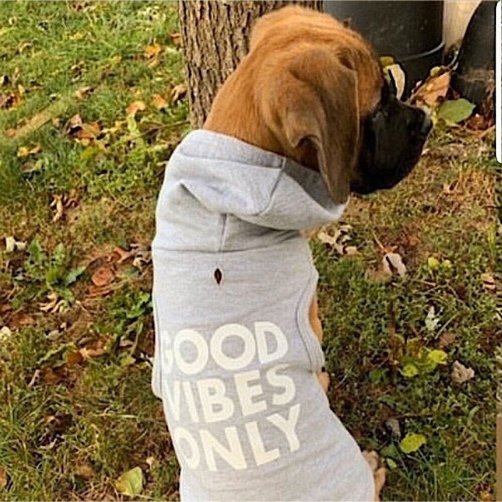 Bowery Pet Supply Dog Hoodie Good Vibes Only Gray 8/Medium Cute
